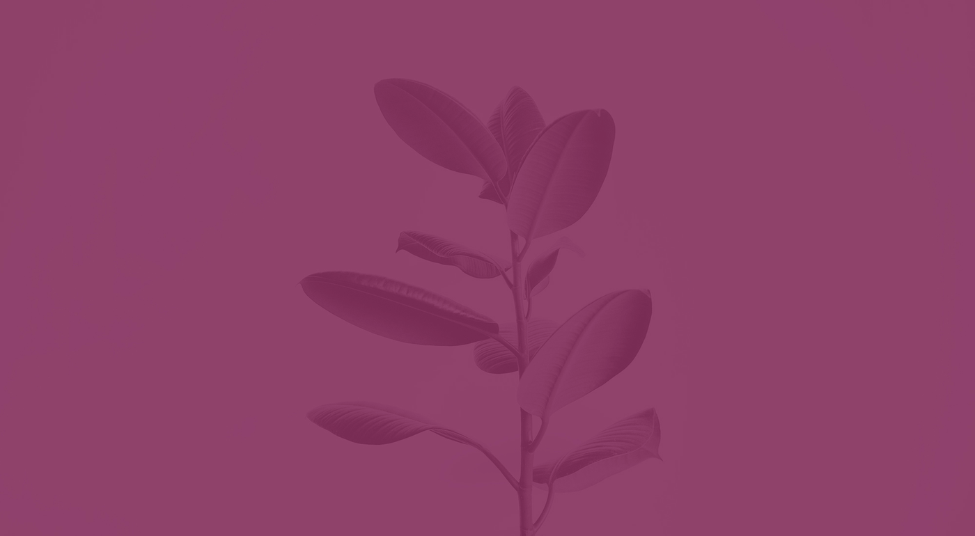 Clean Beauty, Clean Cosmetics, Clean Makeup, Sustainable Beauty, Conscious Cosmetics 